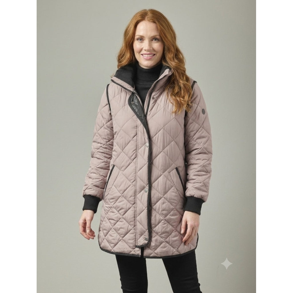 Junge Margrethe Kv. 66 33-Rose