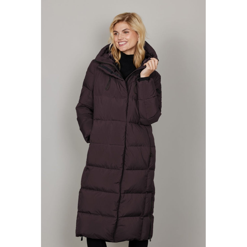 Junge Molly Kv. 52 38-Wine