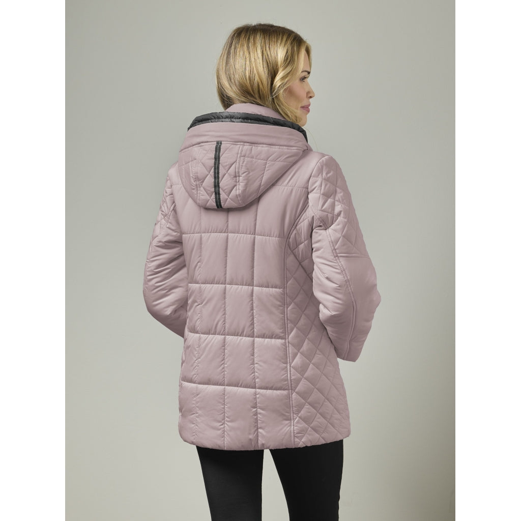 Junge Paige Kv. 66 33-Rose