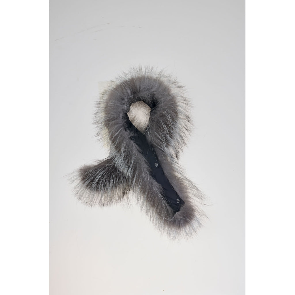 Junge Fur Kv. 65 01-Silver fox