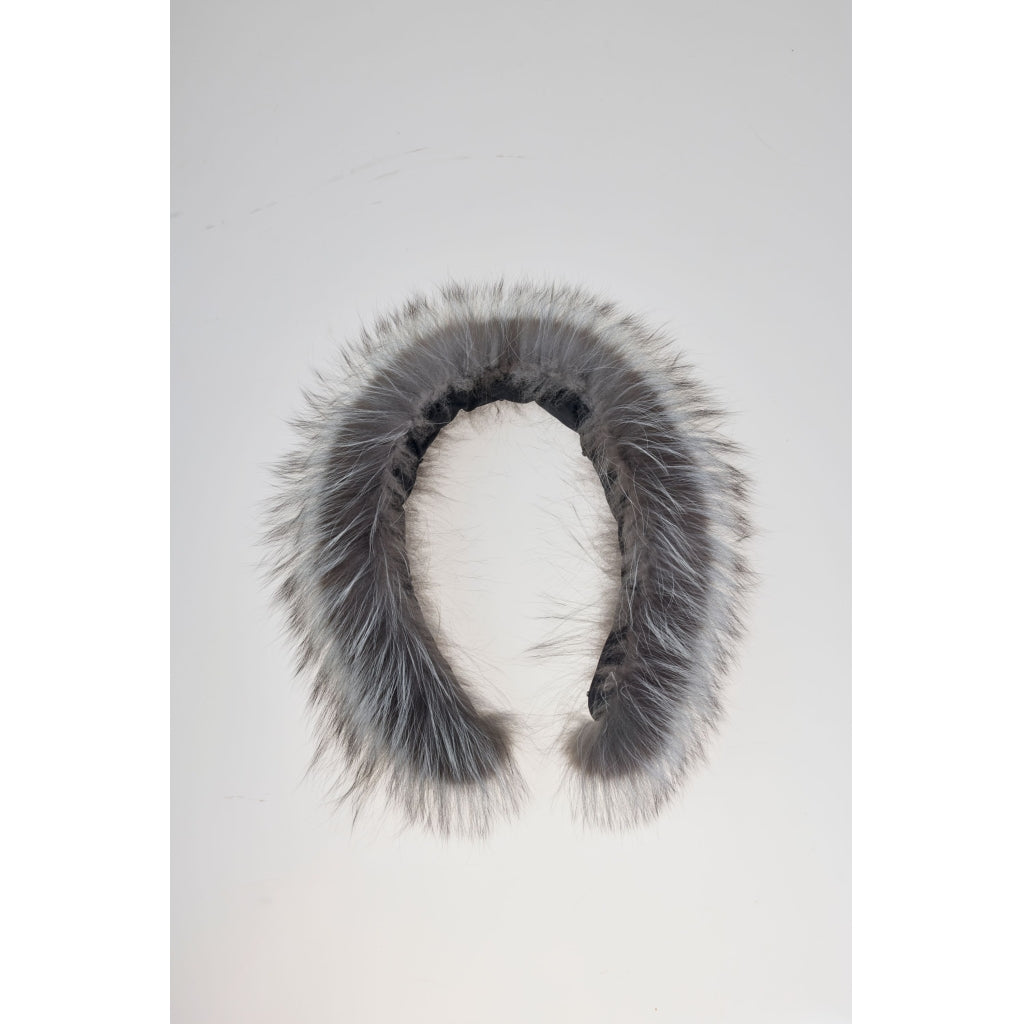 Junge Fur Kv. 65 01-Silver fox