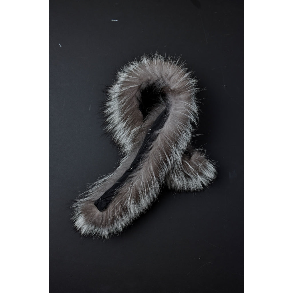 Junge Fur Kv. 65 01-Silver fox