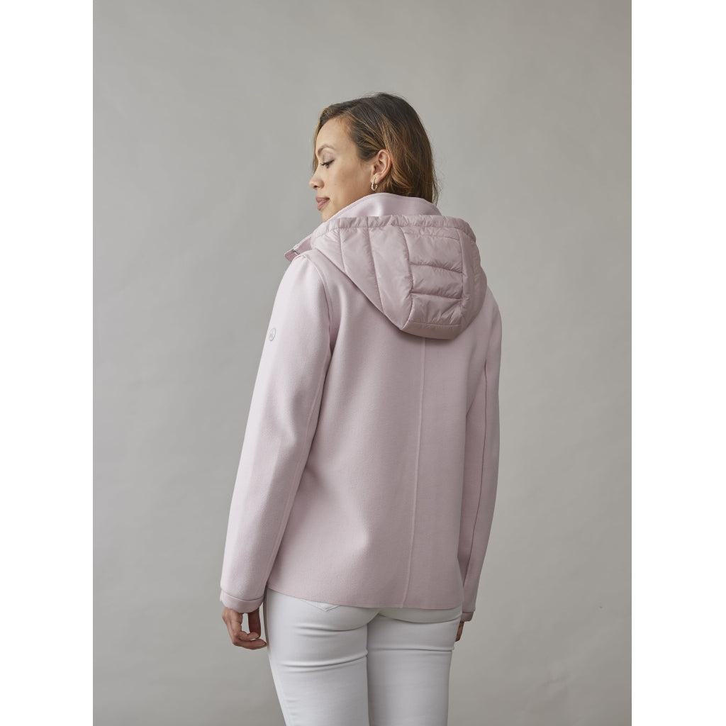 Junge Lucy Kv. 13 33-Rose