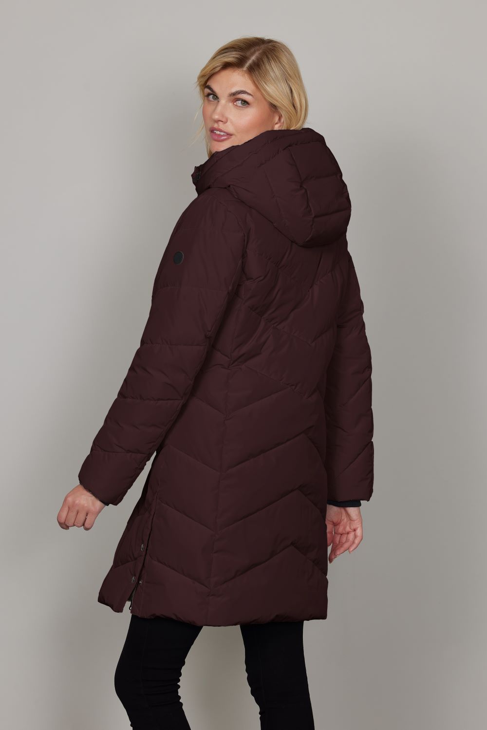Junge Maya Kv. 80 38-Wine